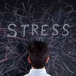 Stress