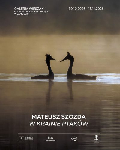 m sz-1